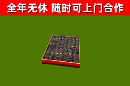 阳江回收海参